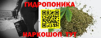 прущие грибы Чебоксары