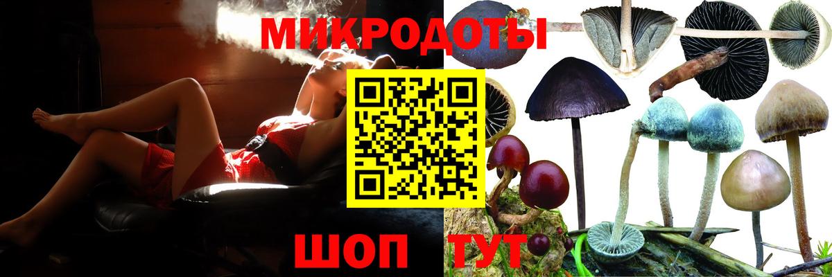 Галлюциногенные грибы Psilocybe Анжеро-Судженск